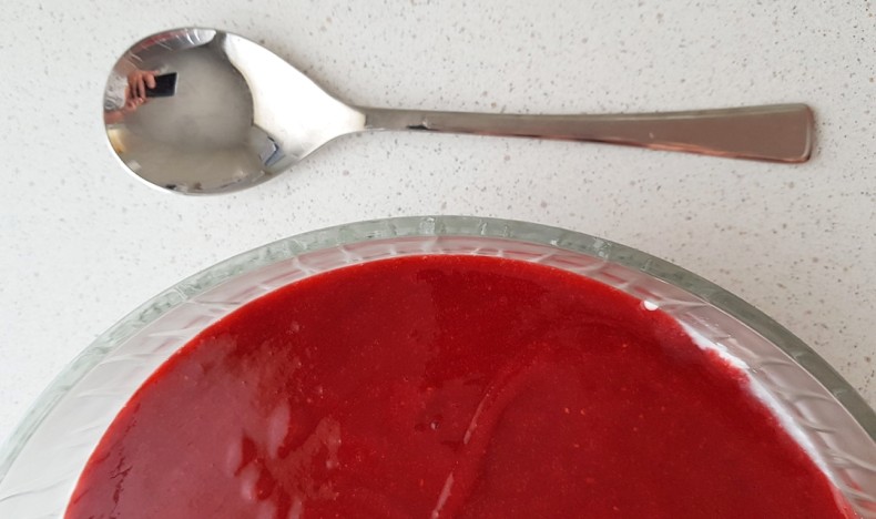 Melkefri panacotta på kokosmelk