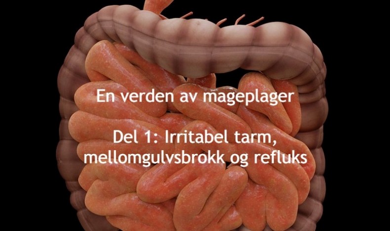 En verden av mageplager del 1
