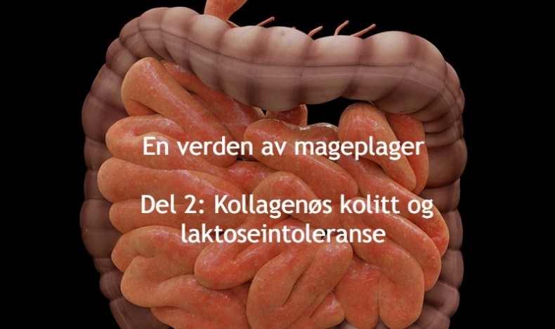 En verden av mageplager del 2