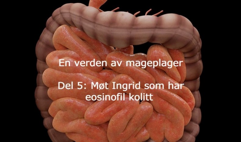 En verden av mageplager del 5