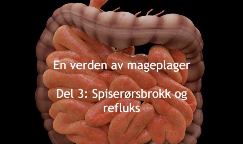 En verden av mageplager del 3