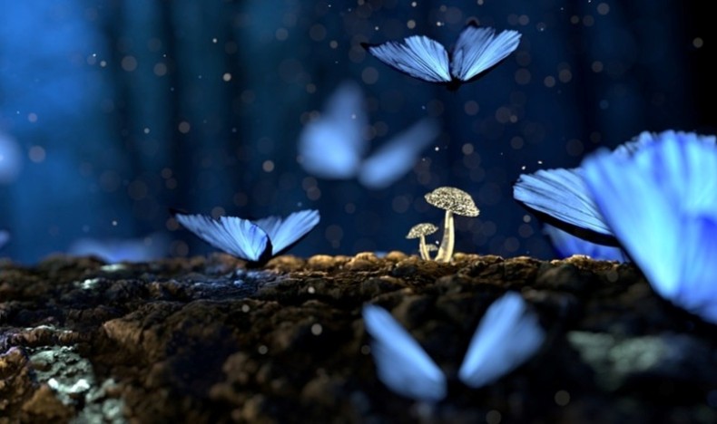 Leserbrev fra LMF-medlem