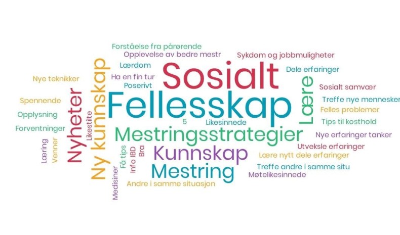 Invitasjon til LMFs mestringskurs for voksne