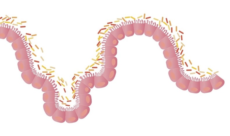 Nytt om 5-ASA preparater ved ulcerøs kolitt