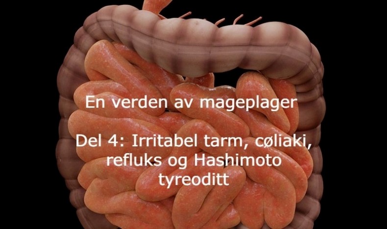 En verden av mageplager del 4 