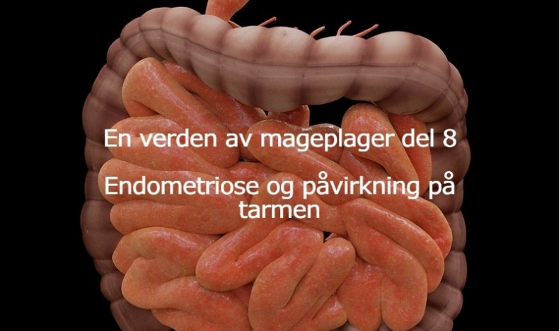 En verden av mageplager del 8