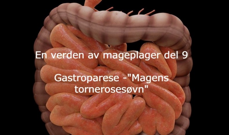 En verden av mageplager del 9