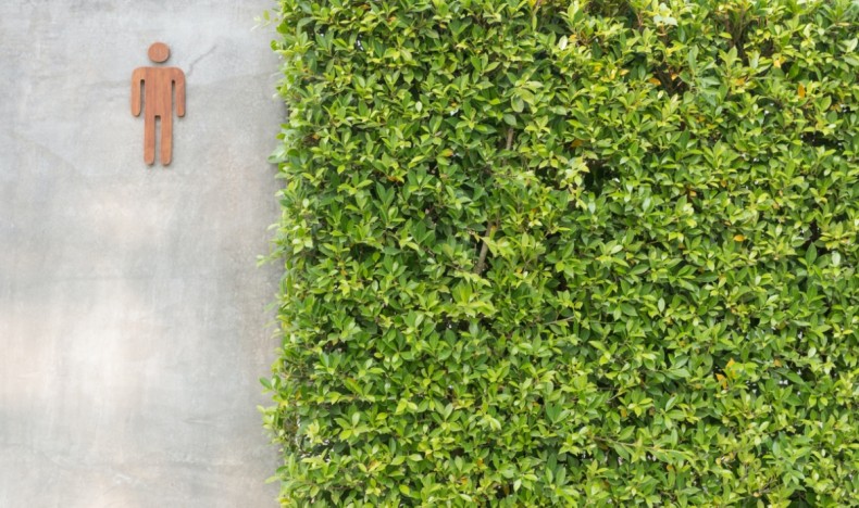 Forskningsprosjekt: Toalettets rolle i det offentlige rom